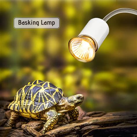 tortoise basking lamp|tortoise basking lamp wattage.